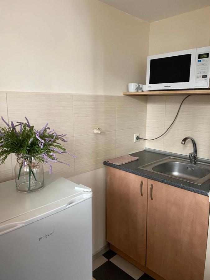 Family Apartment Lviv Eksteriør billede